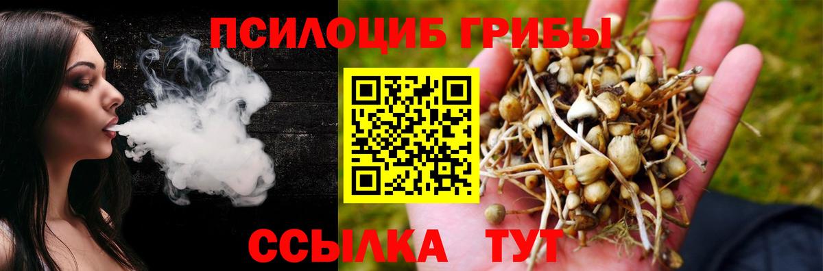 Галлюциногенные грибы GOLDEN TEACHER  Вход с VPN  Псилоцибиновые грибы Magic Shrooms  Асбест 
